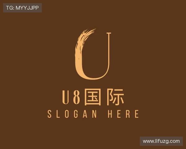 关于u8登录网址